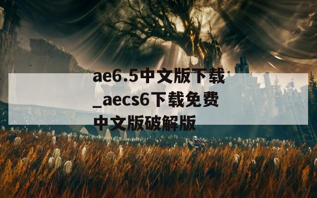 ae6.5中文版下载_aecs6下载免费中文版破解版