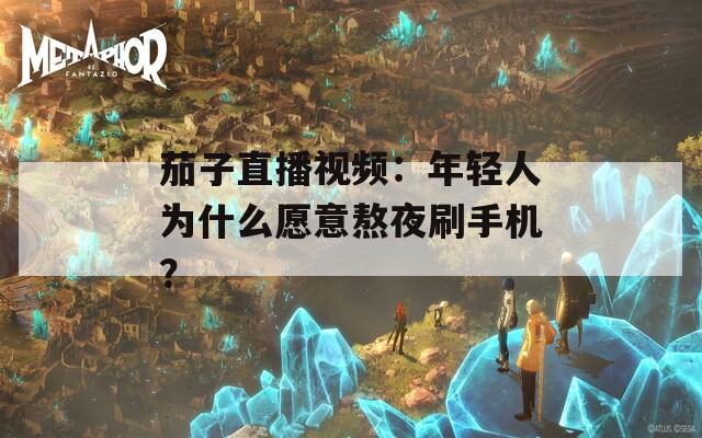 茄子直播视频：年轻人为什么愿意熬夜刷手机？