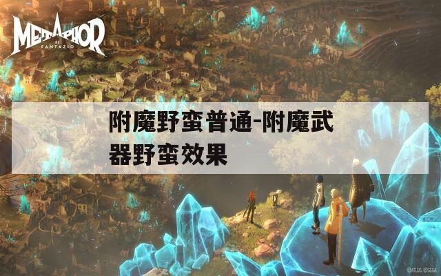 附魔野蛮普通-附魔武器野蛮效果