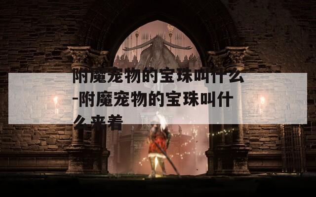 附魔宠物的宝珠叫什么-附魔宠物的宝珠叫什么来着