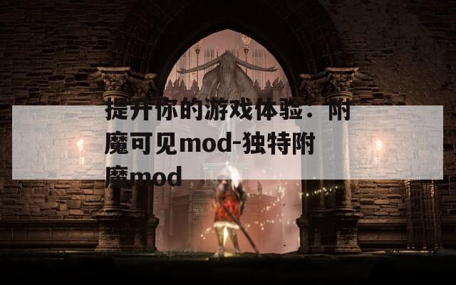 提升你的游戏体验：附魔可见mod-独特附魔mod