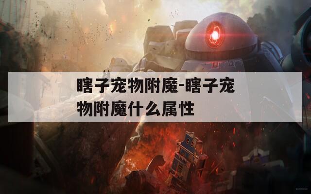 瞎子宠物附魔-瞎子宠物附魔什么属性