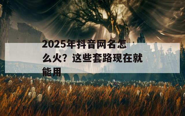 2025年抖音网名怎么火？这些套路现在就能用