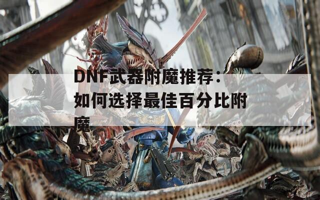 DNF武器附魔推荐：如何选择最佳百分比附魔