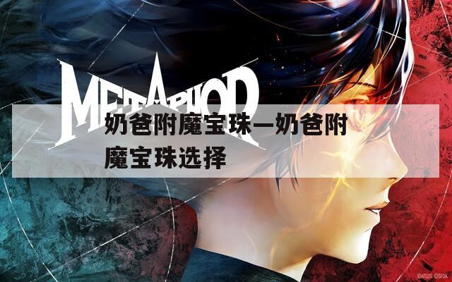奶爸附魔宝珠—奶爸附魔宝珠选择