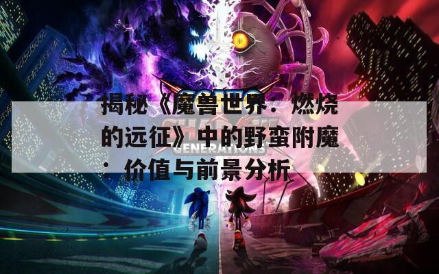 揭秘《魔兽世界：燃烧的远征》中的野蛮附魔：价值与前景分析