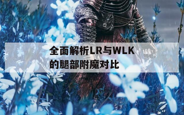全面解析LR与WLK的腿部附魔对比