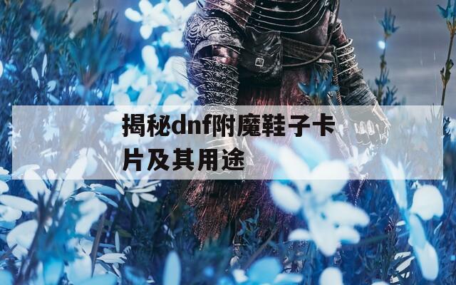 揭秘dnf附魔鞋子卡片及其用途