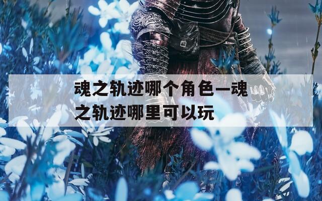 魂之轨迹哪个角色—魂之轨迹哪里可以玩