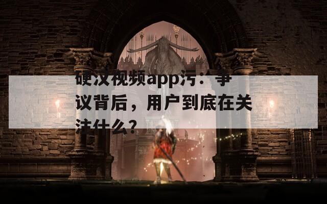 硬汉视频app污：争议背后，用户到底在关注什么？