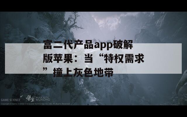 富二代产品app破解版苹果：当“特权需求”撞上灰色地带