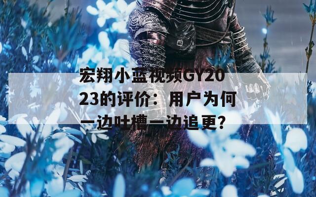 宏翔小蓝视频GY2023的评价：用户为何一边吐槽一边追更？