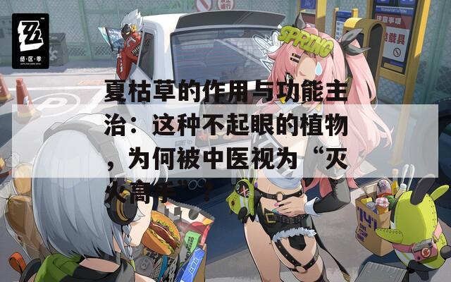 夏枯草的作用与功能主治：这种不起眼的植物，为何被中医视为“灭火高手”？